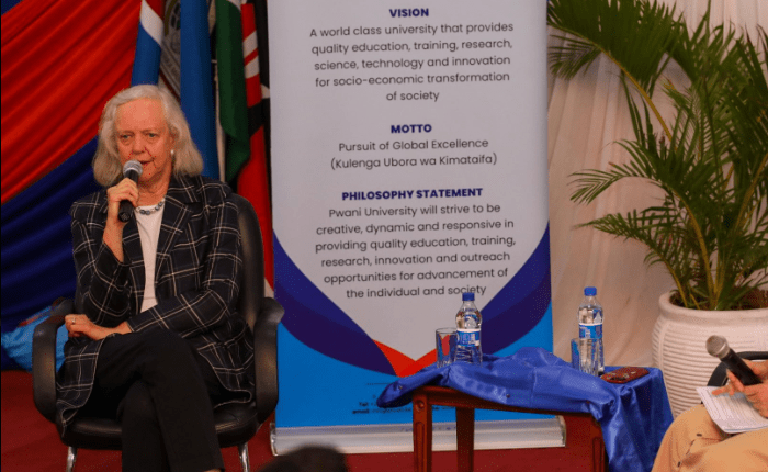 US envoy praises Kenya’s progress in decarbonising transport sector