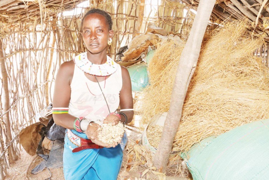 Uyam Learpora, a 36-year-old mother of seven children from Nakwamur village in Samburu County at her pasture storage. PHOTO/mathew ndung’u