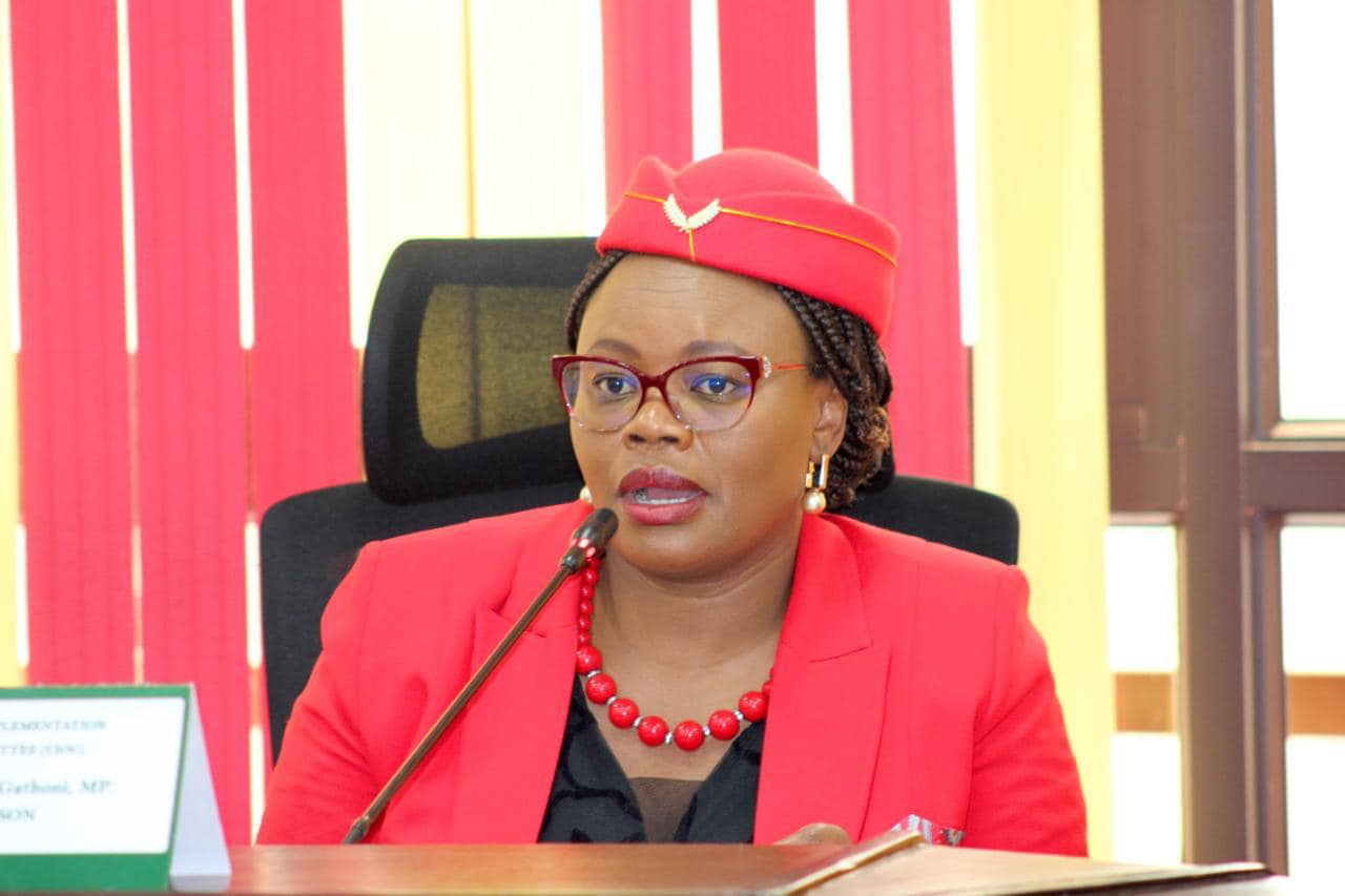 Githunguri MP Gathoni Wamuchomba chairing the Constitution Implementation Oversight Committee (CIOC) on Thursday, September 19, 2024. PHOTO/https://web.facebook.com/ParliamentKE?_rdc=3&_rdr