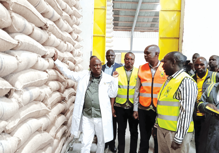 State to purchase maize at Sh4,000 per bag