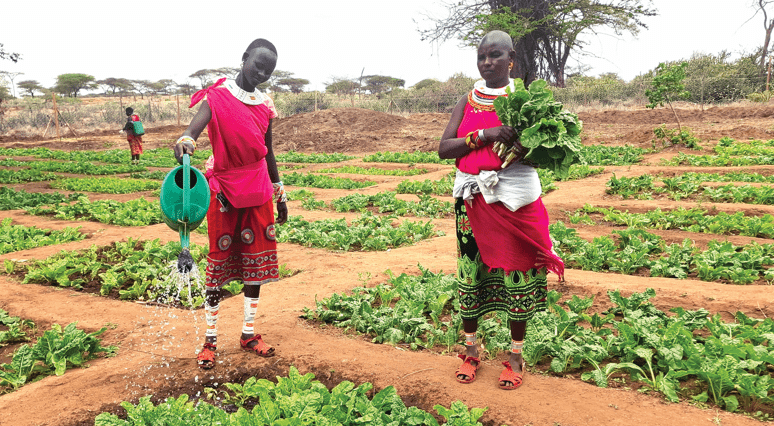 Samburu adopt farming, walk away from relief cycle