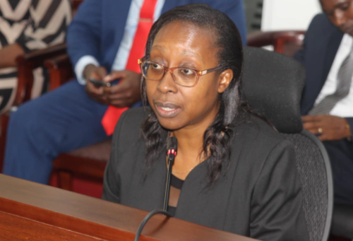 ADAK CEO Sarah Shibutse appearing before the National Assembly committee on Wednesday October 23, 2024. PHOTO/https://www.facebook.com/ParliamentKE