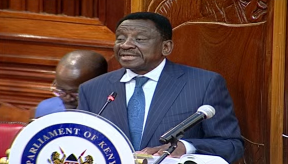 Siaya Governor James Orengo appearing for the National Assembly during the impeachment hearing of DP Gachagua at the Senate. PHOTO/ Screengrab by PD Digital