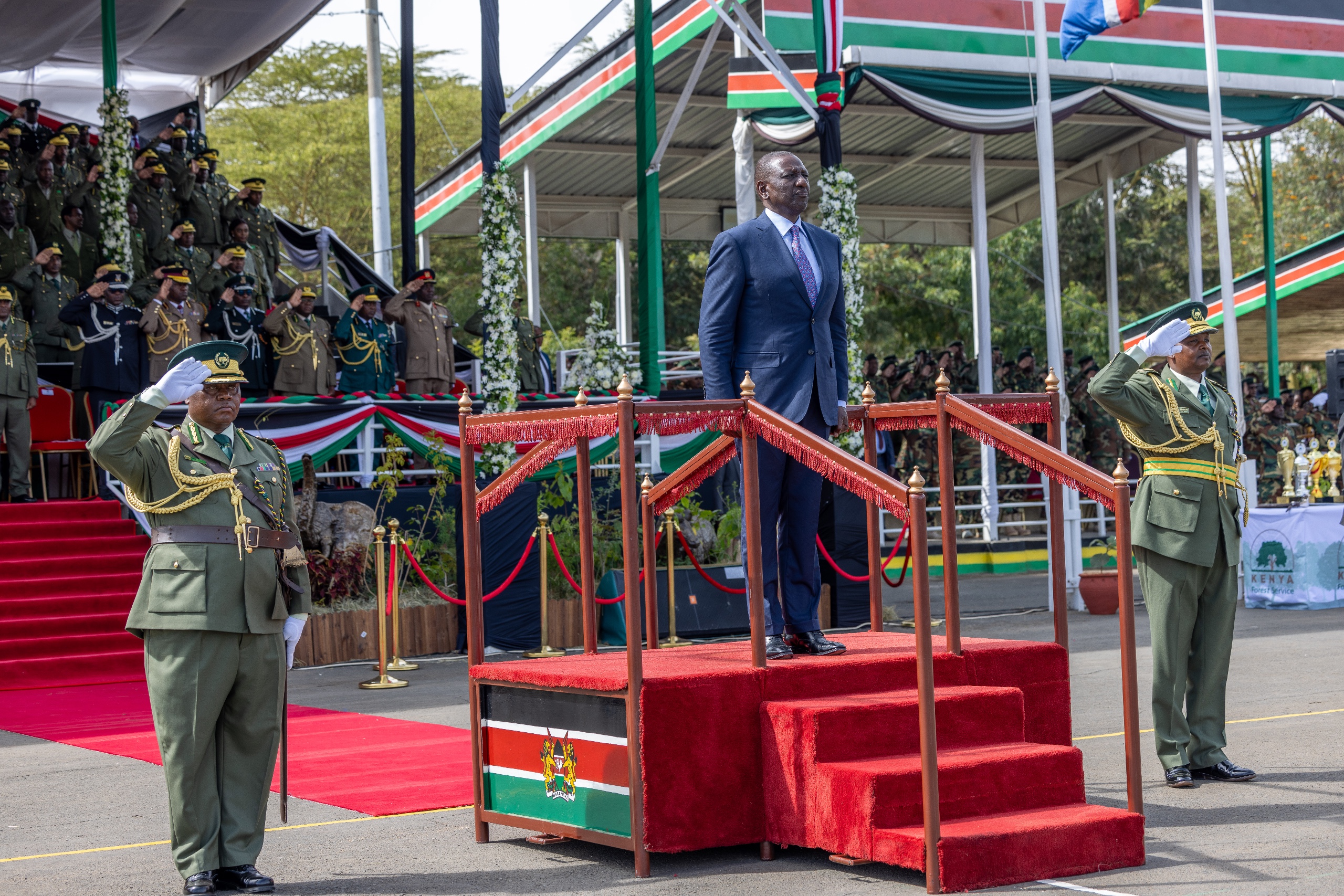 Kenya Forest reforms has reduced illegal logging by 90 per cent - Ruto