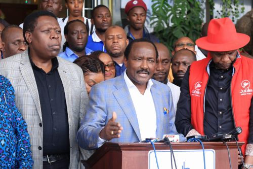 Wiper leader Kalonzo Musyoka flanked by DAP-K party Leader Eugene Wamalwa and Jubilee SG Jeremiah Kioni during a press conference on Sunday, October 13, 2024. PHOTO/@skmusyoka/X