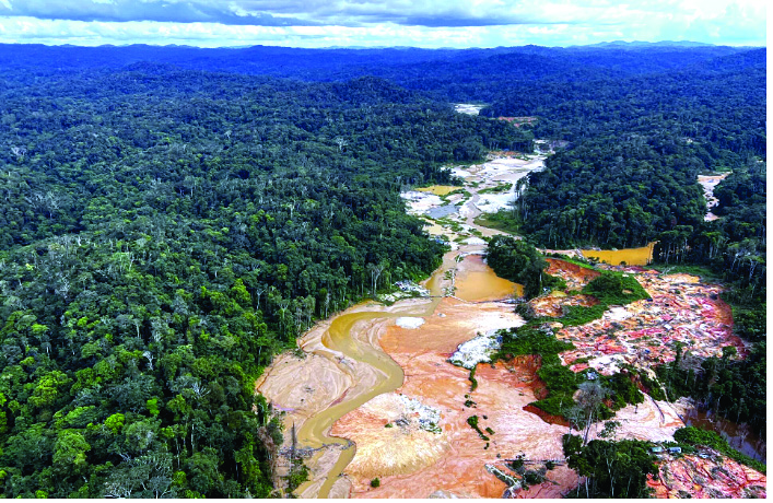 World loses rain forest cover to mining