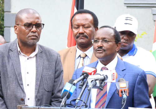 Wiper Party leader Kalonzo Musyoka and other leaders addressing the press on Wednesday October 30, 2024. PHOTO/@skmusyoka/X