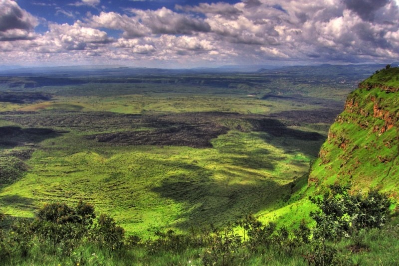 Kenya Forest clarifies claims on grabbing section of Menengai Forest in Nakuru