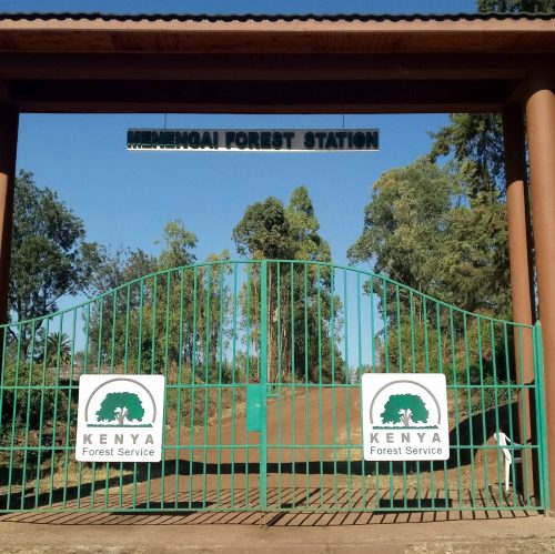 The Menengai Forest Station. PHOTO/https://web.facebook.com/menengaicalderacfa/?_rdc=1&_rdr