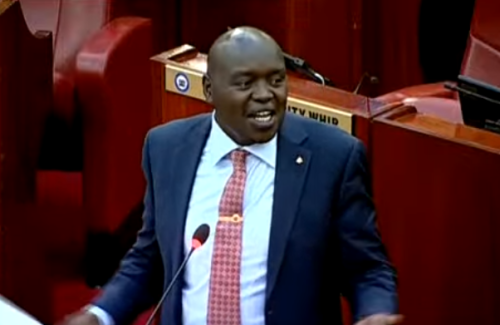 Nandi Senator Samson Cherargei speaks during a senate session on Tuesday, October 29, 2024. PHOTO/ Screengrab from the Senate's Youtube channel.