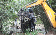 Cleaning exercise of the section of Nairobi River on Thursday October 10, 2024. PHOTO/@NemaKenya/X