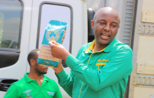 Murang'a governor Irungu Kang'ata during a seed distribution exercise on September 27, 2024. PHOTO/@HonKangata/X