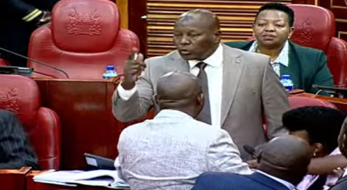 Other senators pleading with Kajiado Senator Seki to apologise to Speaker Amason Kingi on Thursday October 17, 2024. PHOTO/Screengrab by PD Digital