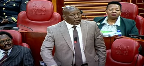 Kajiado Senator Seki Lenku Ole Kanar at the Senate on Thursday October 17, 2024. PHOTO/Screengrab by PD Digital