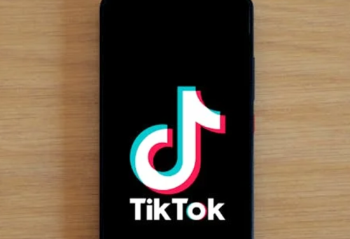 A phone screen showing the TikTok brand. Image used for representation only. PHOTO/Pexels