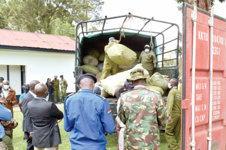 Laikipia County workers load bhang worth Sh41 million from a container to a lorry at the Nyahururu police station on October 23. The drug was later set a blaze by State officers following a court order. PHOTO/David Macharia