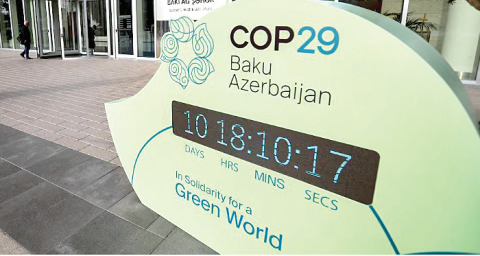 COP29