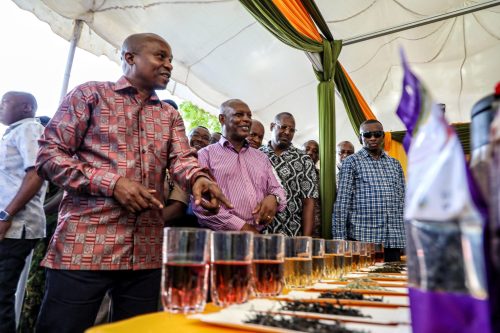 DP Kithure Kindiki when he officially opened the Kenyan Tea Centenary Celebrations and Summit in Mombasa County on Friday, November 15, 2024. PHOTO/@KindikiKithure/X