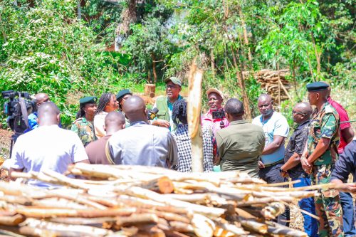 Environment Cabinet Secretary Aden Duale at Karura Forest. PHOTO/@HonAdenDuale/X