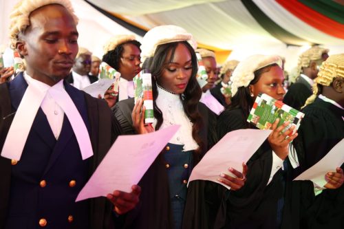 Lawyers take oath during their admission to the bar on November 29, 2024. PHOTO/@Kenyajudiciary/X