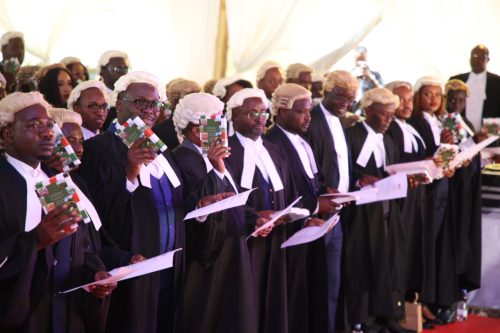 Lawyers take oath during their admission to the bar on November 29, 2024. PHOTO/@Kenyajudiciary/X