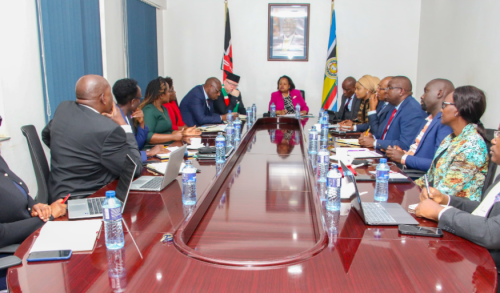 Secretary to the Cabinet Mercy Wanjau chairing a meeting on Wednesday November 13, 2024. PHOTO/@SpokespersonGoK/X