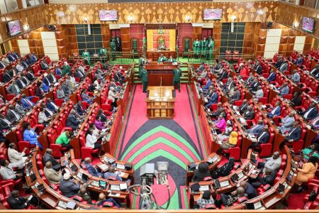 The National Assembly during a past session. PHOTO/@NAssemblyKE/X