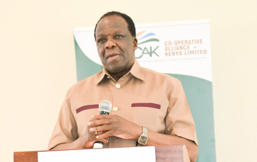 CS Wycliffe Oparanya speaking on Wednesday November 20, 2024. PHOTO/@DrOparanya/X