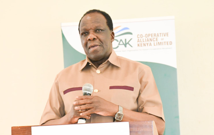 CS Wycliffe Oparanya speaking on Wednesday November 20, 2024. PHOTO/@DrOparanya/X