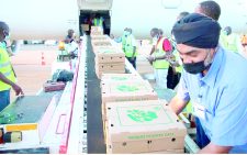 Workers load fresh produce on a cargo plane for export