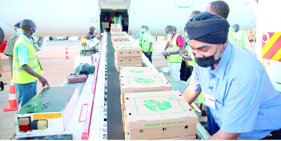 Workers load fresh produce on a cargo plane for export