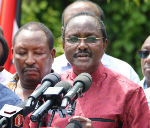 Wiper Party leader Kalonzo Musyoka speaking at the SKM Command Centre on Saturday, November 30, 2024. PHOTO/@skmusyoka/X
