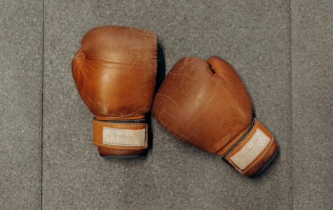 A pair of boxing gloves. PHOTO/Pexels