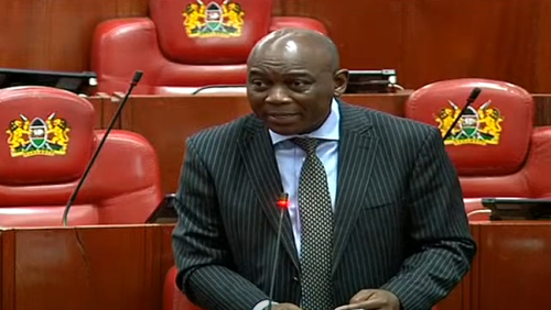 Suba South MP Caroli Omondi gives his submissios in Parliament on November 12,2024. Screengrab from PBU