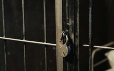 Long jail terms throw focus on policing accountability