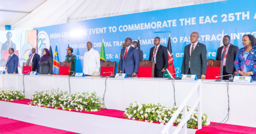 East African Community heads of state and representatives in Arusha Tanzania on November 29, 2024. PHOTO/@WilliamsRuto/X