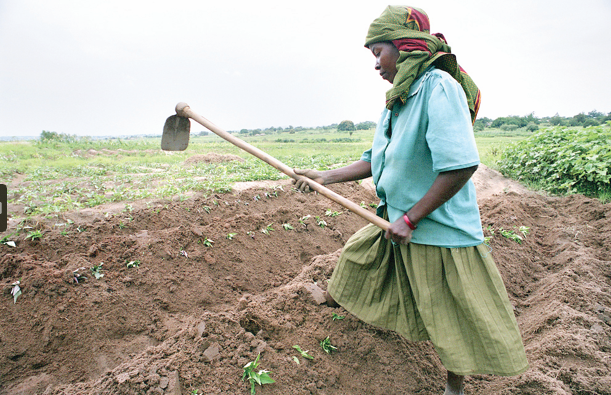 Sustainable soil management key to increasing food security