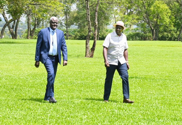 Ruto reveals details of his meeting with AUC Chairperson