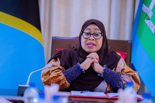 Tanzania President Samia Suluhu during a past official function on November 12, 2024. PHOTO/@SuluhuSamia/X
