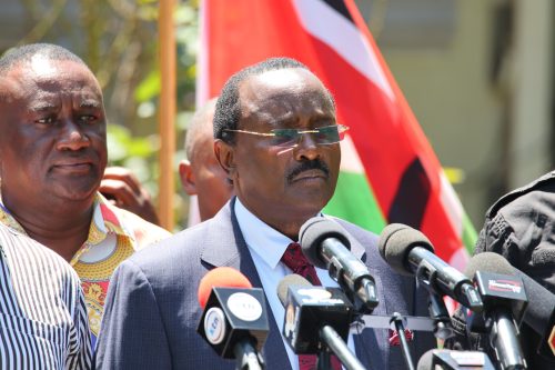 Wiper Party leader Kalonzo Musyoka speaking on Monday December 30, 2024. PHOTO/@skmusyoka/X