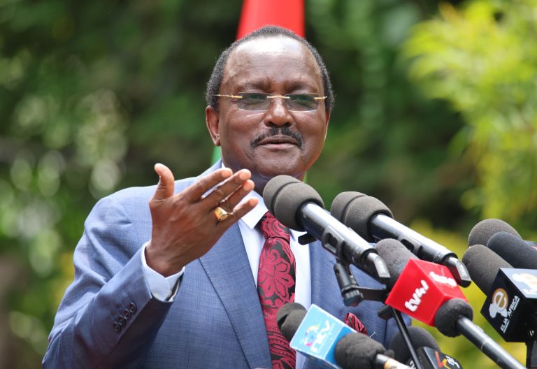 Kalonzo denounces Ruto’s Jamhuri Day speech as pipe dreams and misinformation