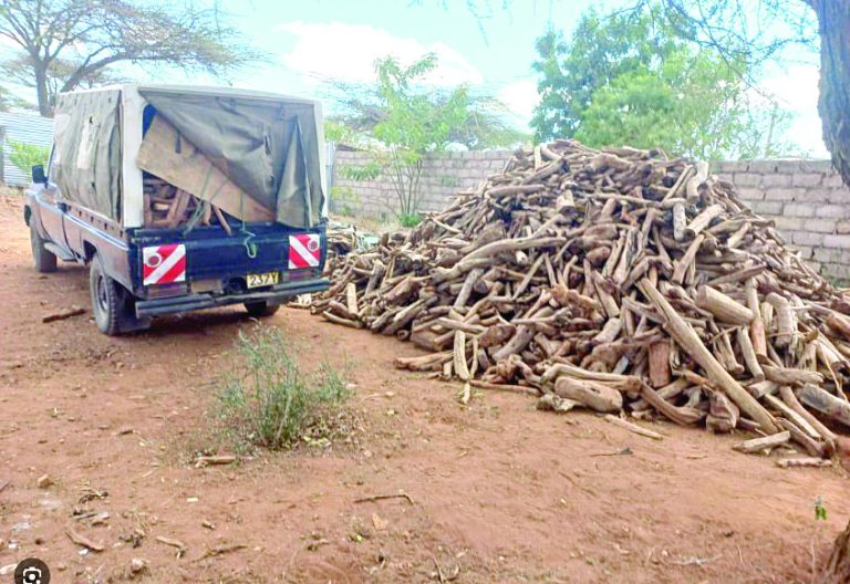 Scientist unveils innovation to save local sandalwood