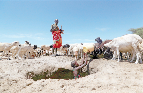 Cutting carbon emissions by 45 per cent by 2030 will keep global warming at no more than 1.5°C below pre-industrial levels, limiting the impacts of climate change such as drought. PHOTO/Print