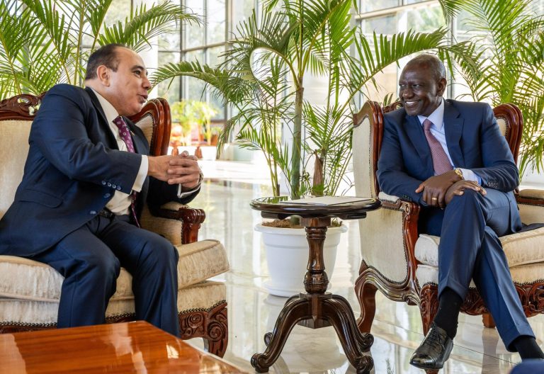 Ruto reveals details of his meeting with Egyptian Ambassador to Kenya