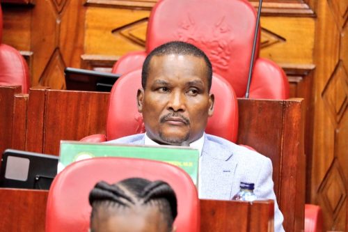 Lagdera MP Abdikadir Hussein during the vetting of the nominee for consulate general for Haiti Noor Gabow on Friday, January 10, 2025. PHOTO/@NAssemblyKE/X