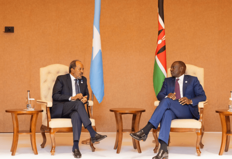 ‘Somalia imported Kenyan goods worth Ksh5B in first nine months of 2024’ – Ruto praises growing trade relations