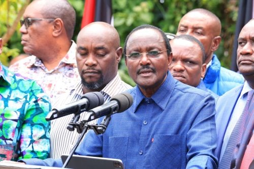 Wiper Party Leader Kalonzo Musyoka speaking on Wednesday January 15, 2025. PHOTO/@skmusyoka/X