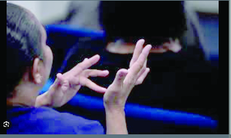 Use sign language interpreters, clerics advised