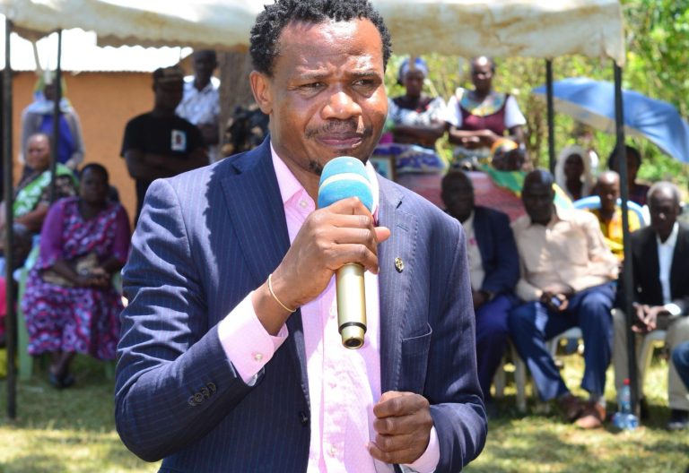 Salasya slams Ruto for politicizing Western development tour