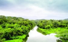 DR Congo unveils ambitious green